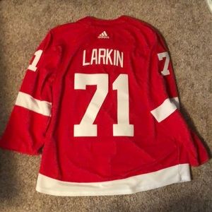 Redwings Dylan Larkin Jersey #71